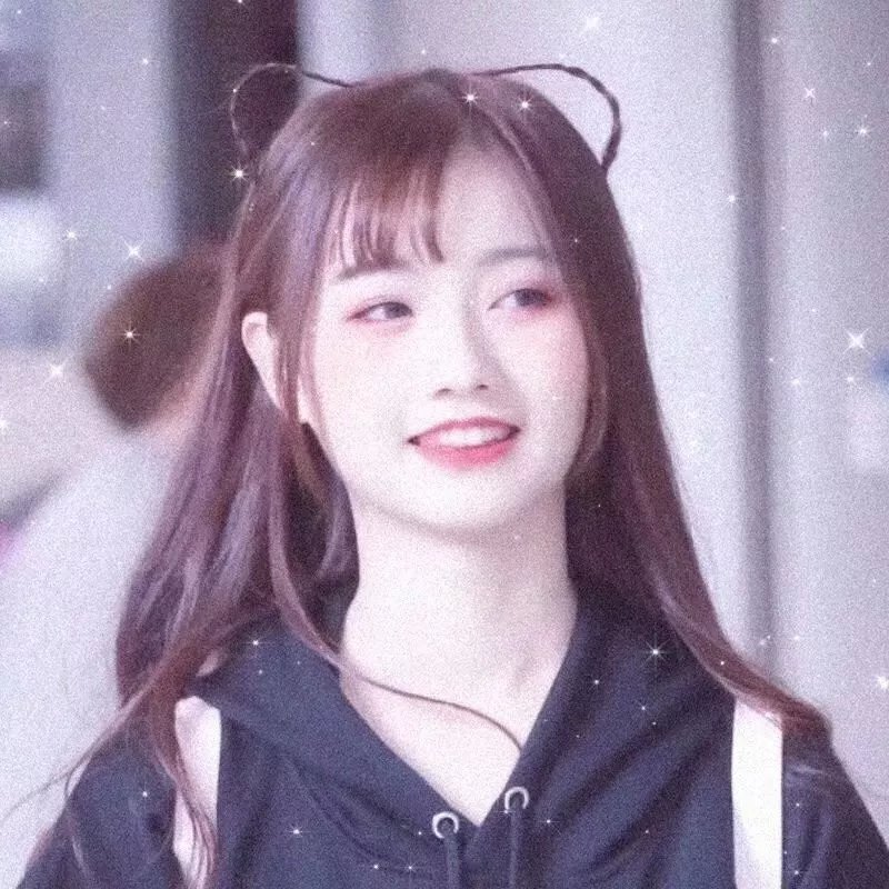 间谍过家家第二季